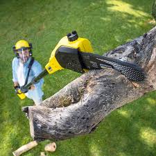 Best Pest Control for Lawns  in Temple Hills, MD